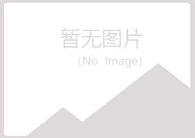 湛江坡头山柏服务有限公司